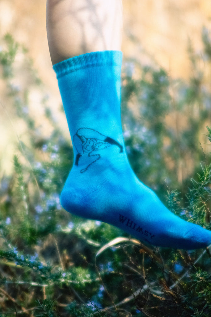 WHIMSY SOCKS – Whimsy