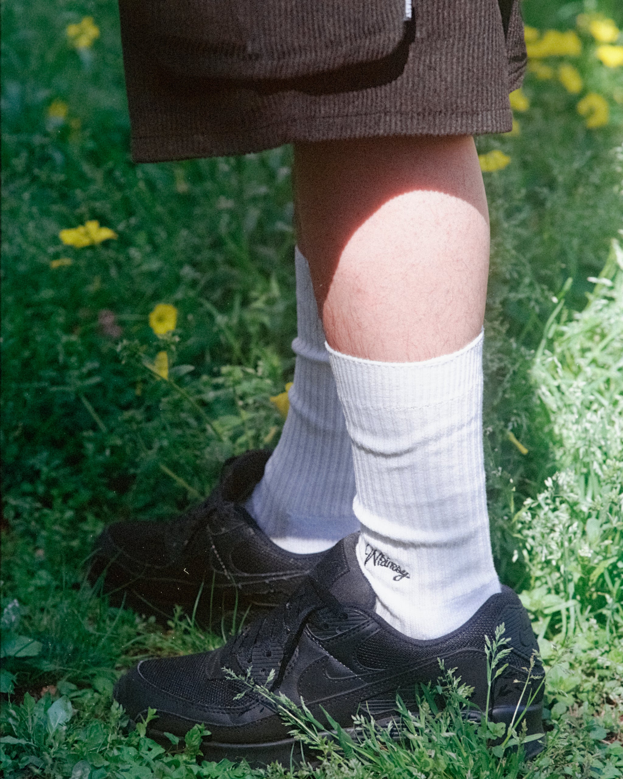 WHIMSY SOCKS – Whimsy